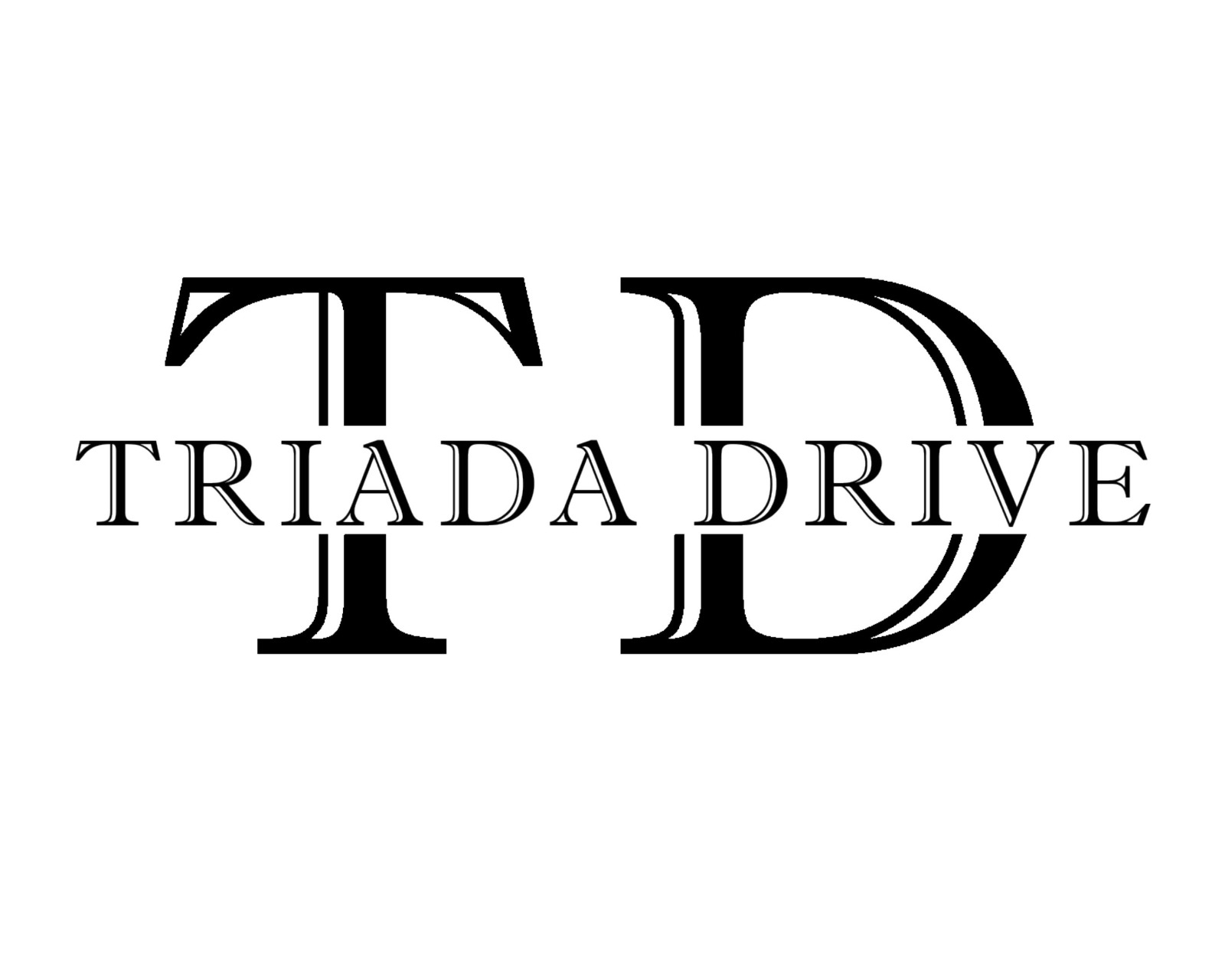 Логотип партнера TriadaDrive