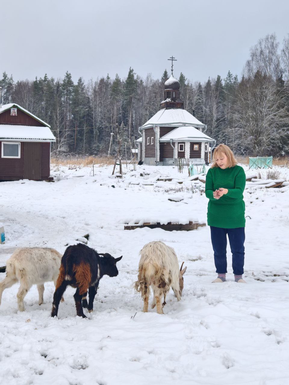 Паломническая поездка в Троицкую Реконьскую пустынь 2