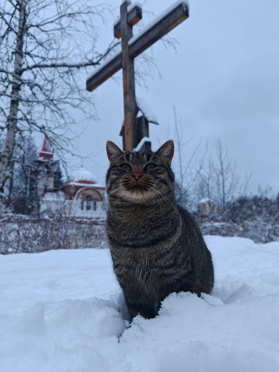 Паломническая поездка в Троицкую Реконьскую пустынь 4